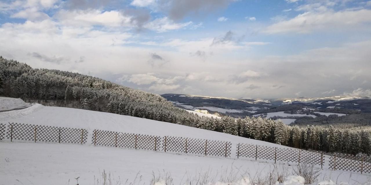 Wald-Panorama-Zimmer Panzió Mönichkirchen Kültér fotó