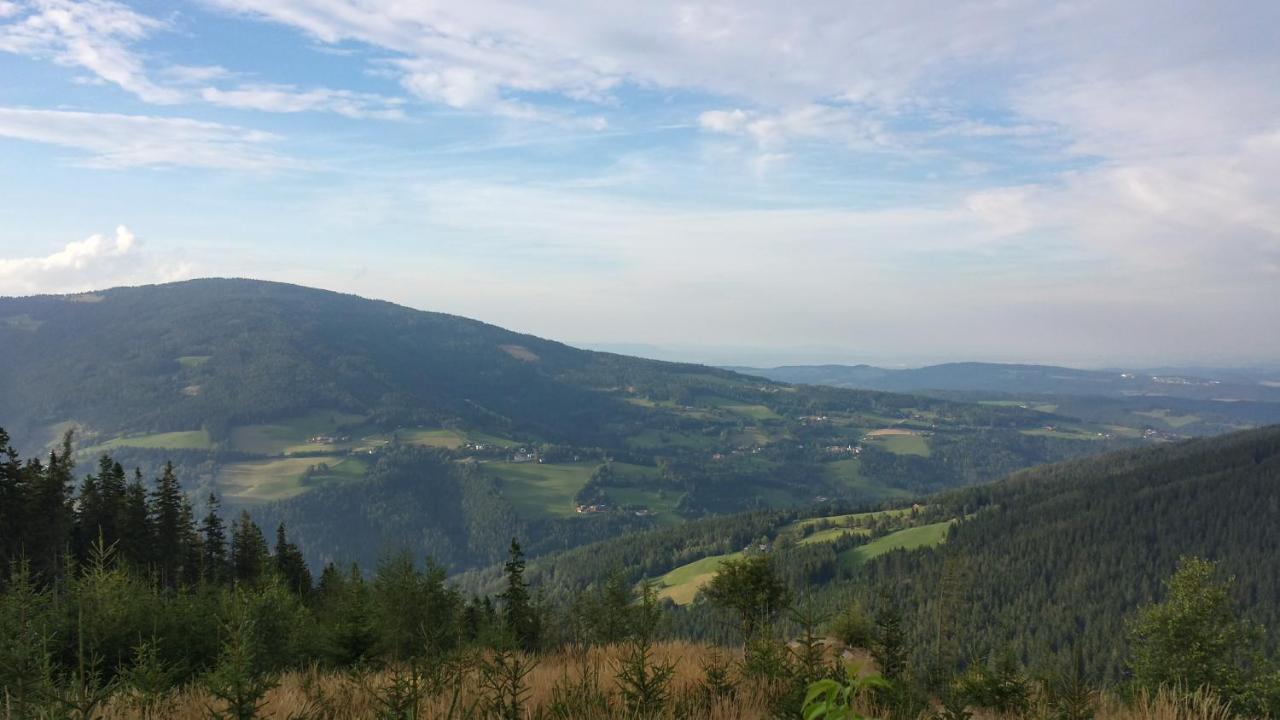 Wald-Panorama-Zimmer Panzió Mönichkirchen Kültér fotó