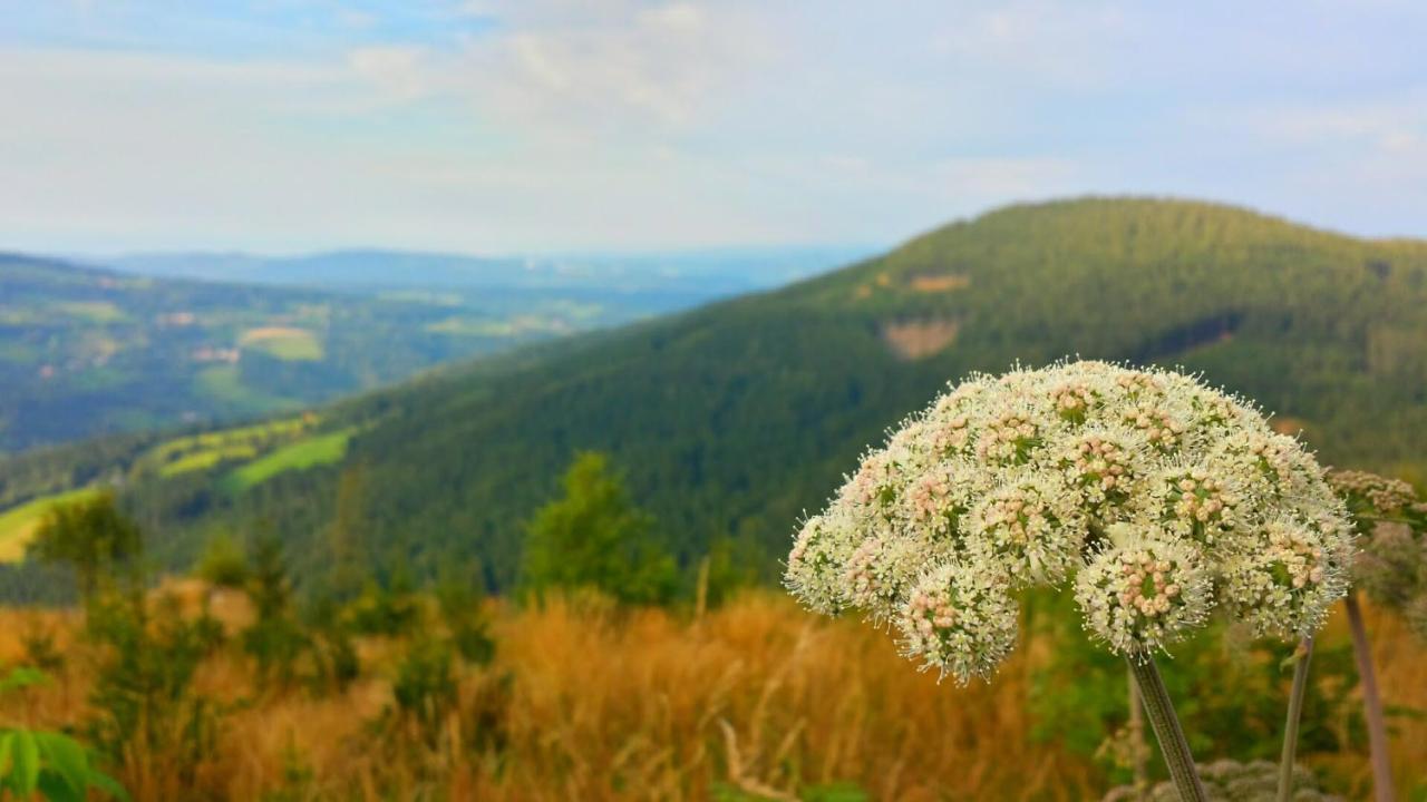 Wald-Panorama-Zimmer Panzió Mönichkirchen Kültér fotó