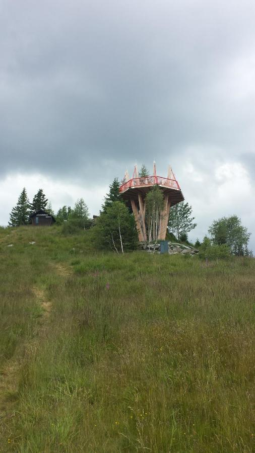 Wald-Panorama-Zimmer Panzió Mönichkirchen Kültér fotó